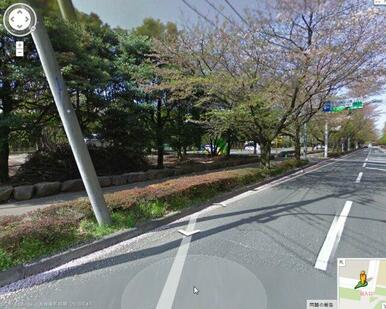 県立和光樹林公園