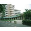 大学
