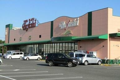 ハヤシ六ツ野店