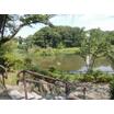 公園