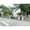 中学校