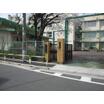 幼稚園、保育園