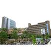 大学