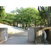 公園