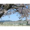 中学校
