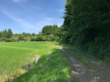 接道道路は農道として使用されています。