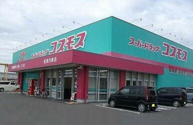 コスモス