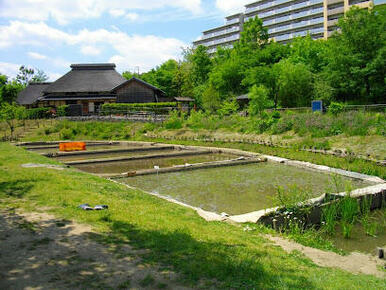 区立赤羽自然観察公園