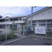 幼稚園、保育園