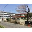 幼稚園、保育園