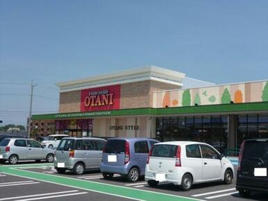 フードオアシスOTANI高根沢店　1950ｍ/徒歩25分、車5分