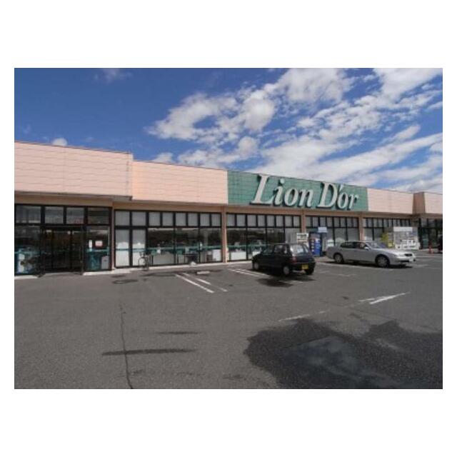 リオン・ドール高根沢店　912ｍ/徒歩12分、車3分