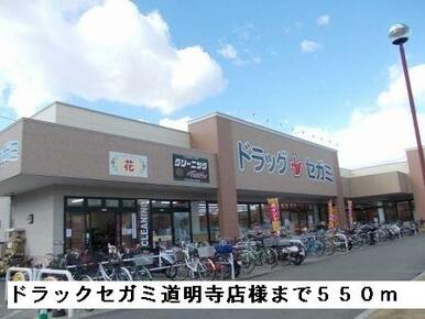 ドラックセガミ道明寺店様