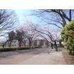 公園