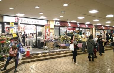 東急ストア　菊名店