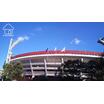 レジャー・観光