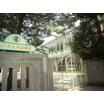 幼稚園、保育園