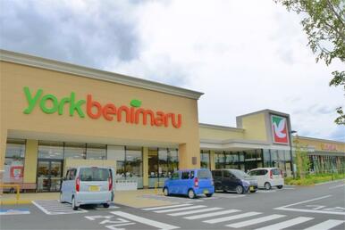 ﾖｰｸﾍﾞﾆﾏﾙ 石岡西店