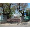 小学校