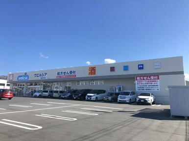 ウエルシア函南平井店