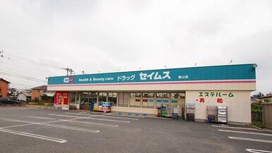 ドラッグストアセイムス嵐山店
