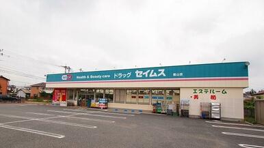 ドラッグセイムス嵐山店