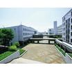 大学