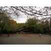 公園
