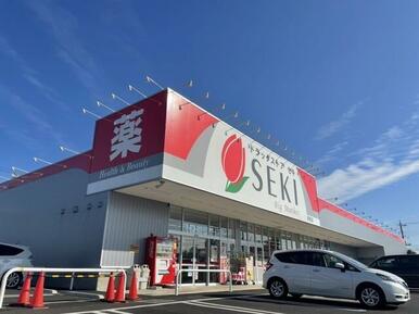 ドラッグストアセキ阿見店