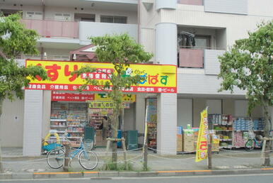 どらっぐぱぱす綾瀬駅前店