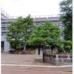 中学校
