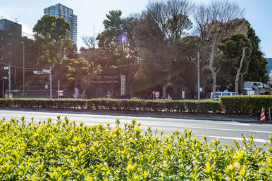 品川神社　１１０ｍ