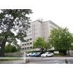 大学