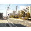 大学