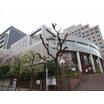大学