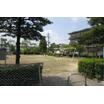 公園