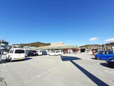 サンプラザ新鮮館