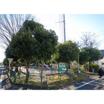公園