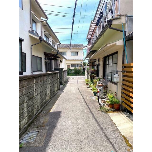 2024年7月撮影