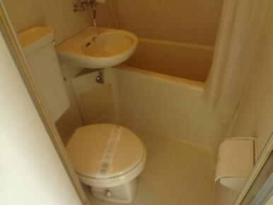 ※前回募集時のお写真です。