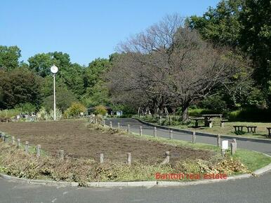 蘆花恒春園