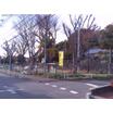 公園