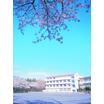 中学校