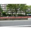 公園