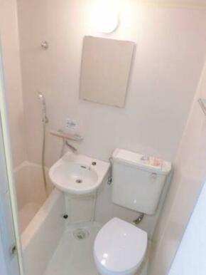 前回募集時写真