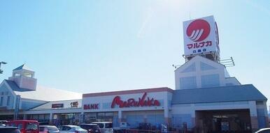 マルナカ白鳥店さん