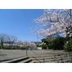 公園