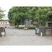 中学校