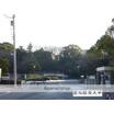 大学