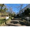 公園